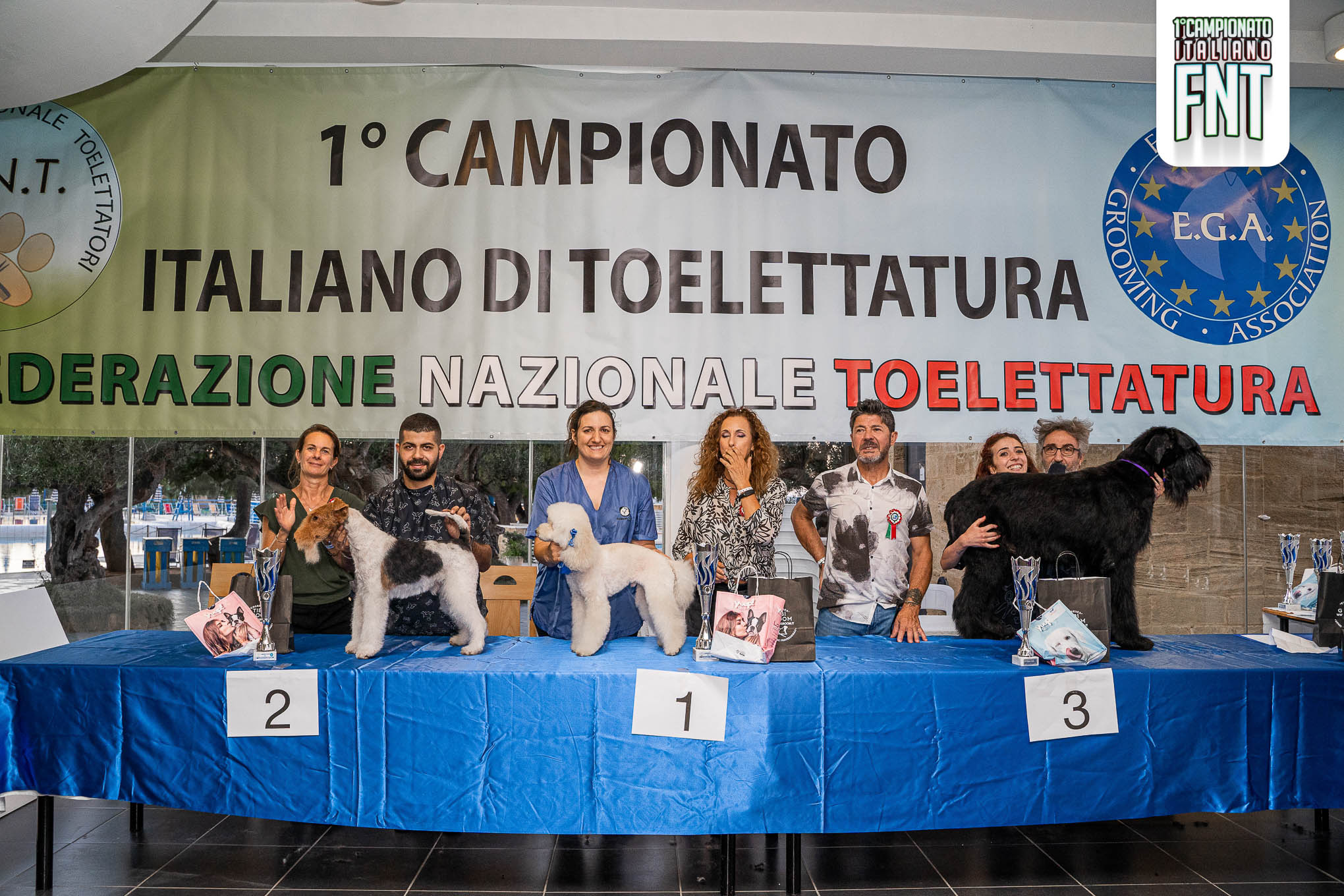 Debuttanti
