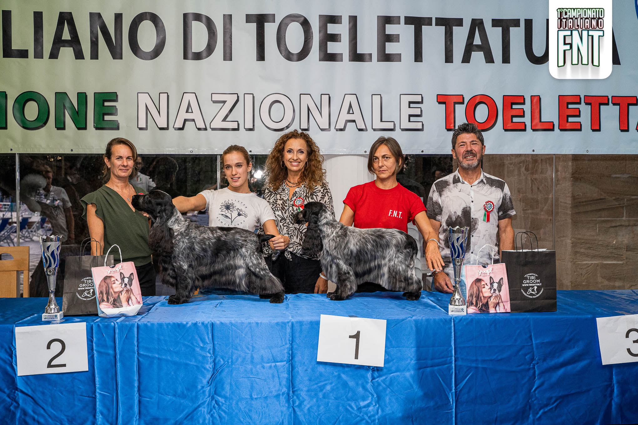 Spaniel Campioni