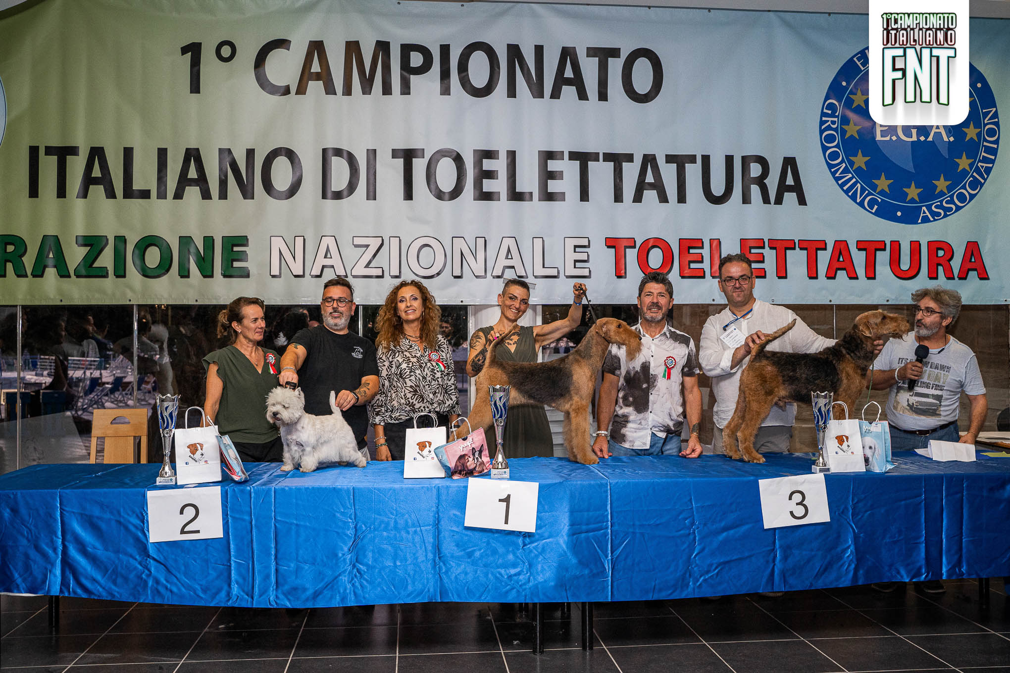 Stripping Campioni