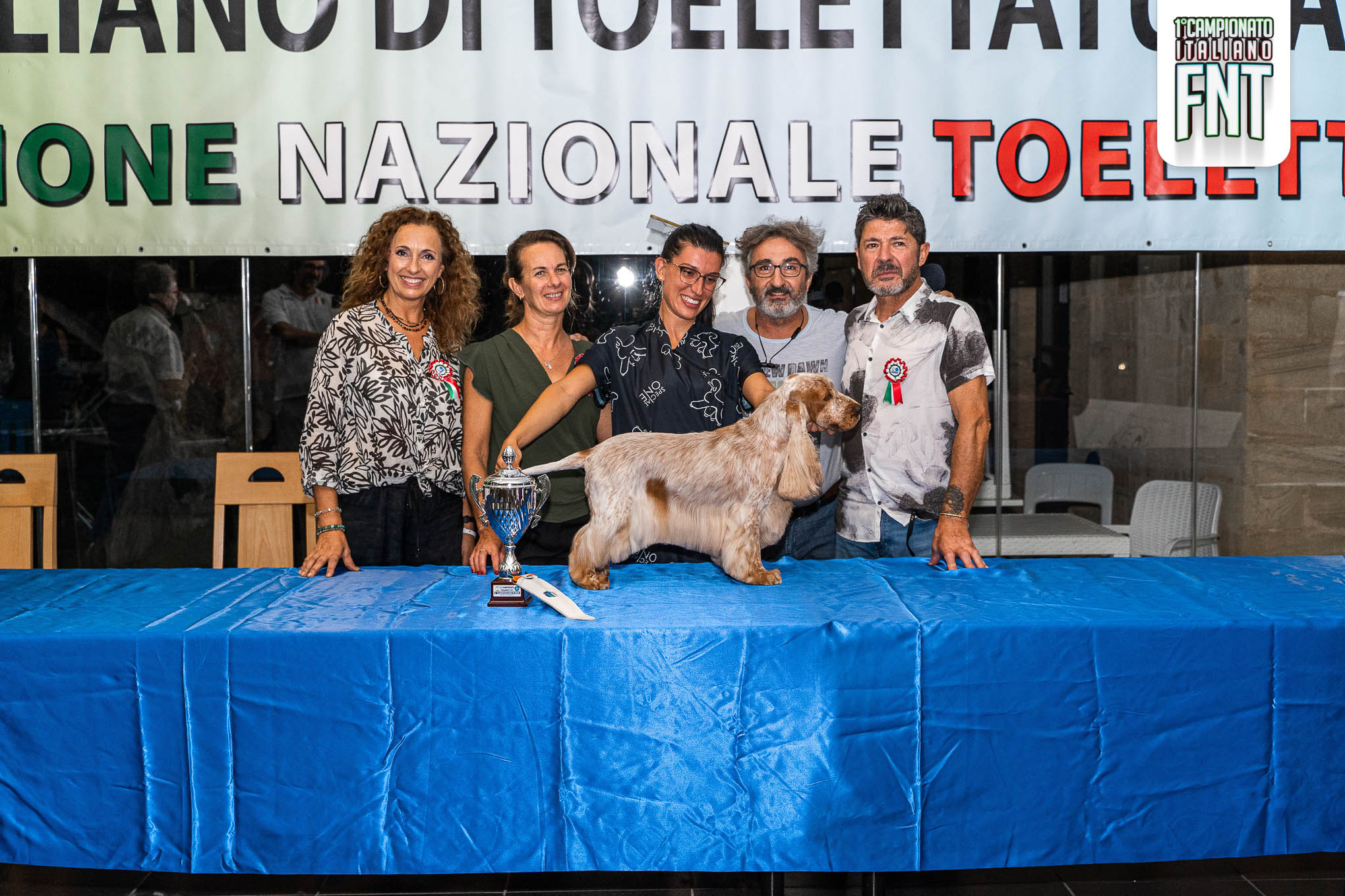 Spaniel Libera