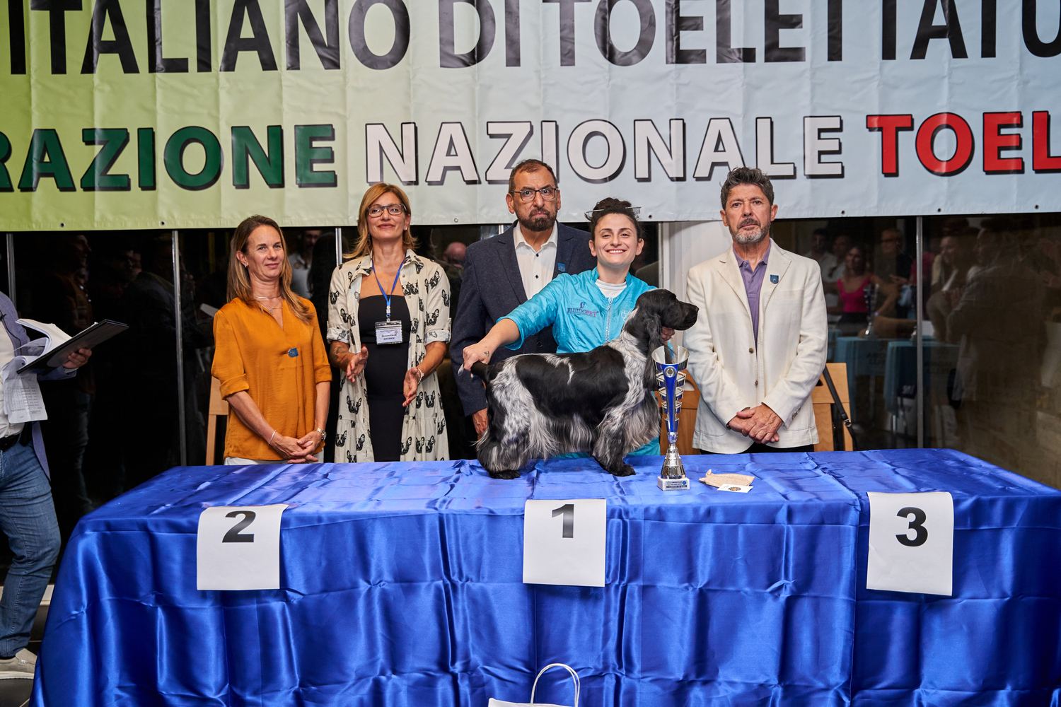 Spaniel Campioni