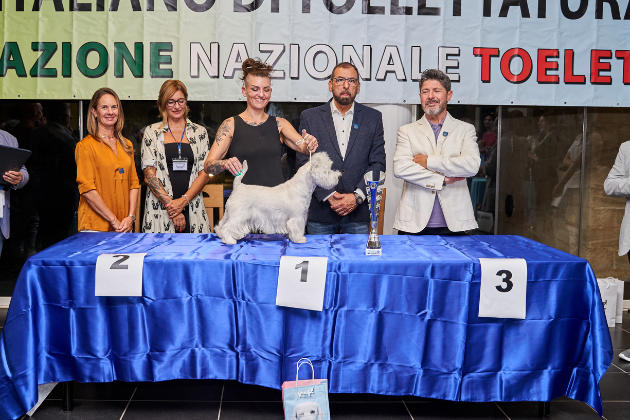 Stripping Campioni