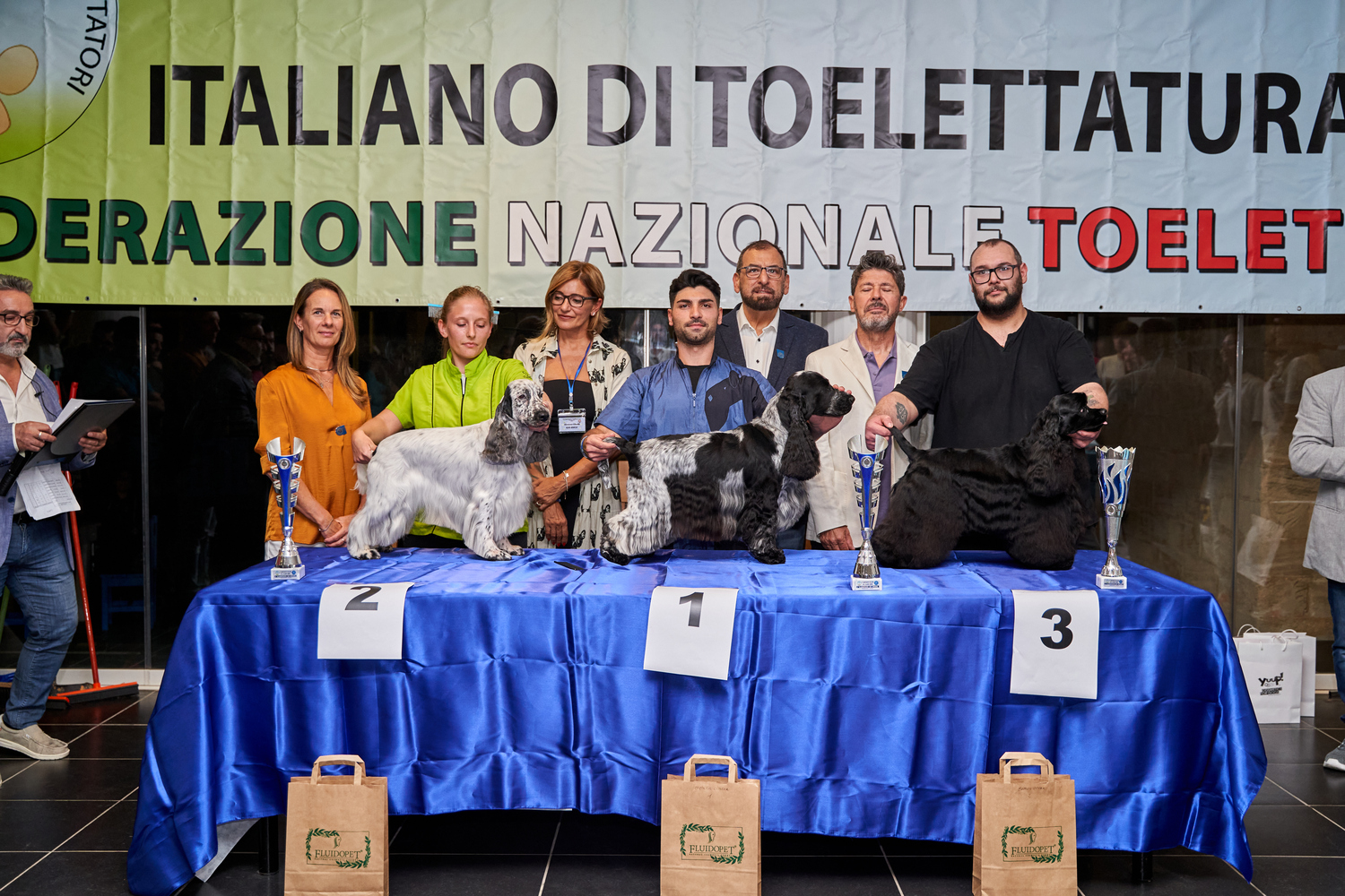 Spaniel Libera
