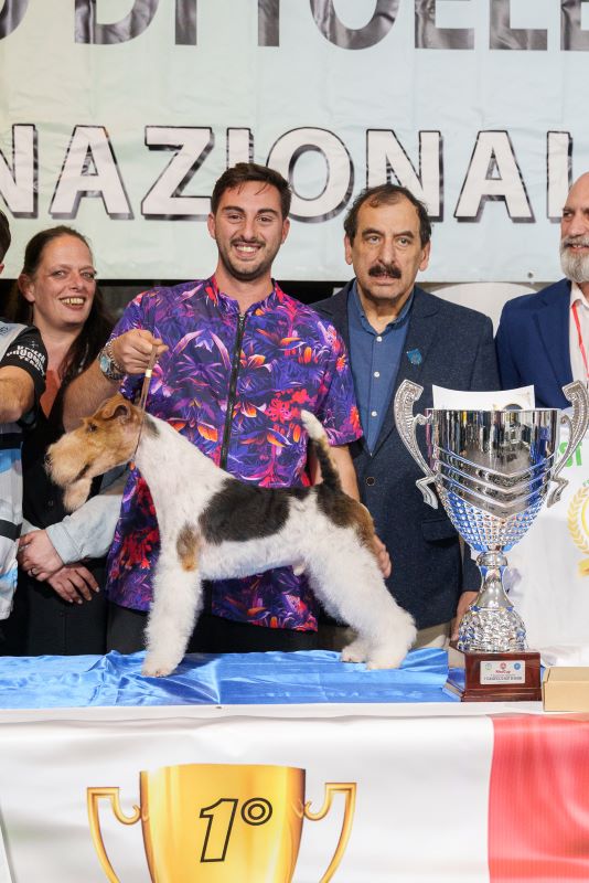 Best in Show EGA