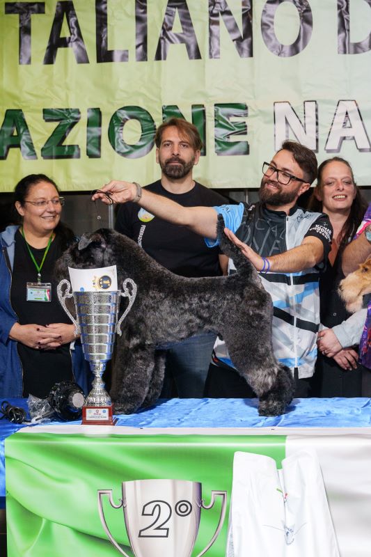 Best in Show FNT