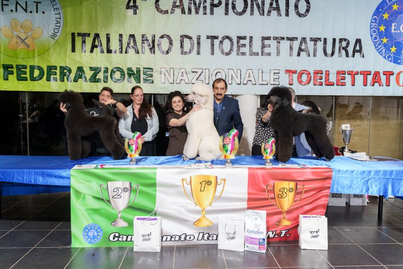 Barbone Campioni grande