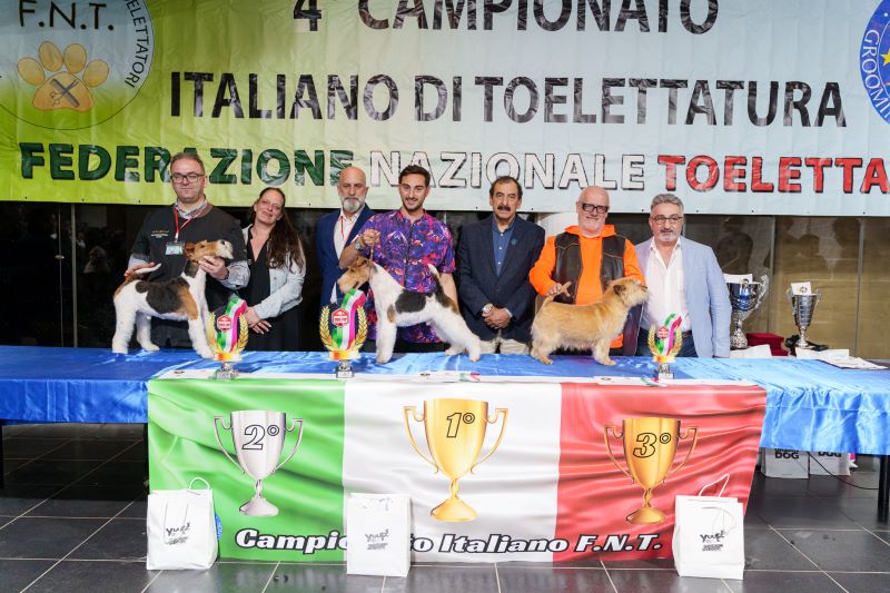 Stripping Campioni
