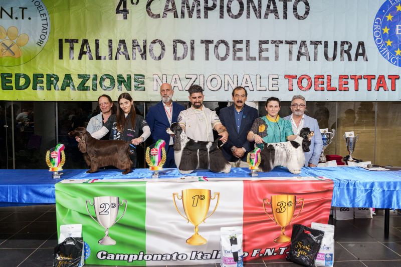Spaniel Campioni