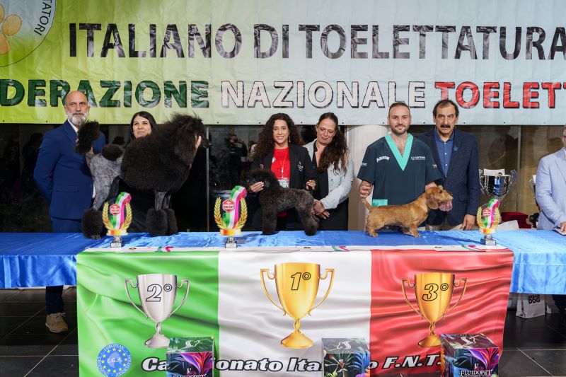 Debuttanti