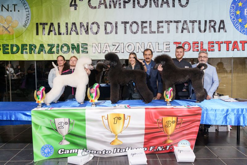 Barboni Libera grande