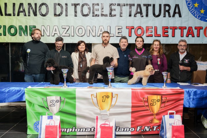 Commerciale